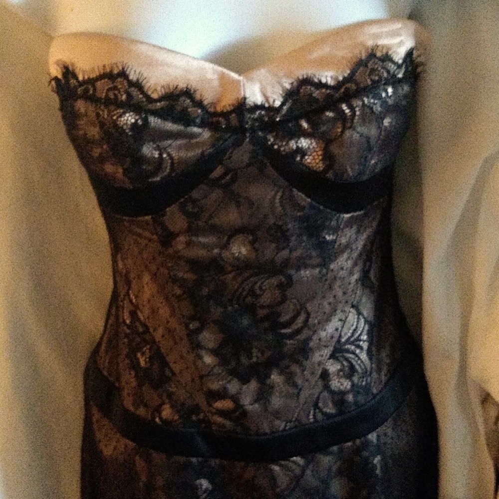 Bebe Lace Overlay Satin Dress. XS. Strapless.